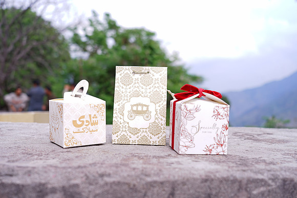 Haseeb & Usba Barat00228