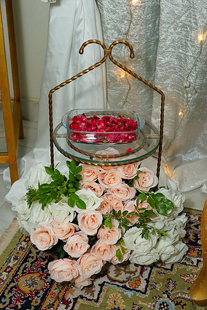 Nahl & Rehman Engagement 00116