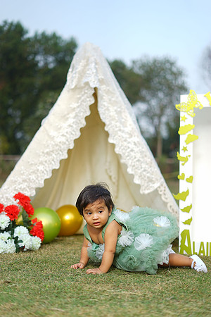 Alaina 1st Birthday 00047