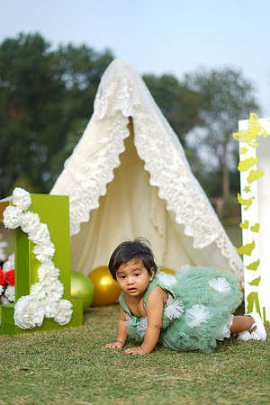 Alaina 1st Birthday 00048
