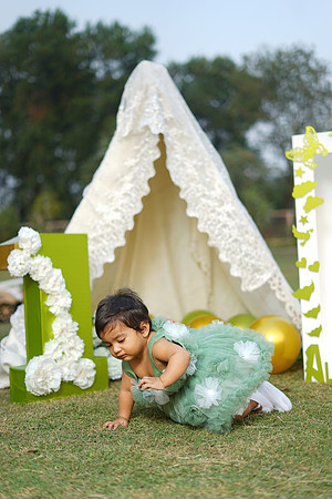Alaina 1st Birthday 00052