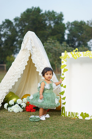 Alaina 1st Birthday 00057