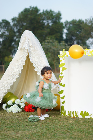 Alaina 1st Birthday 00058