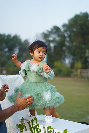 Alaina 1st Birthday 00066