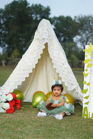 Alaina 1st Birthday 00073