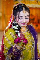 Noor & Ali Mehndi 00015