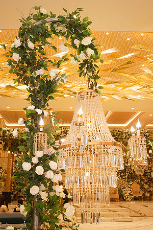 Shamoon & Aleena Walima 00622