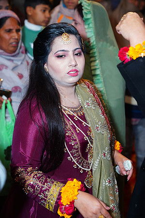 Mehndi 205