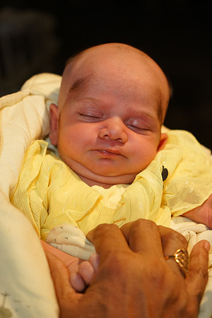 Zohaib Mehndi 00082