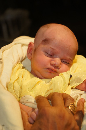 Zohaib Mehndi 00083