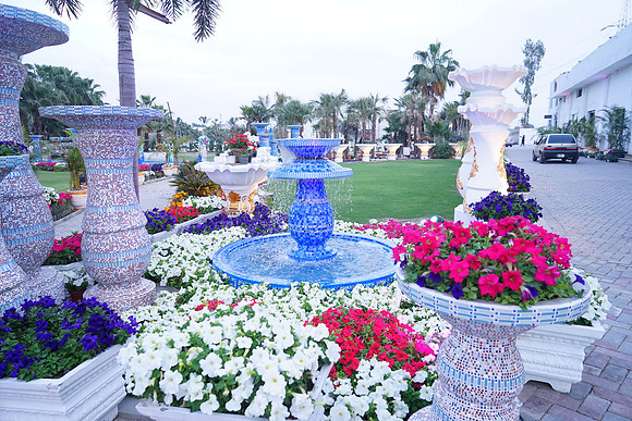 Rosa Blanca Iftaari 00024