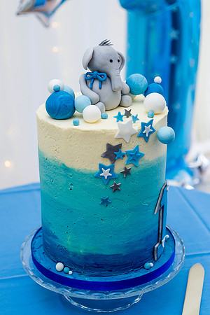 Zayan First Birthday-8204