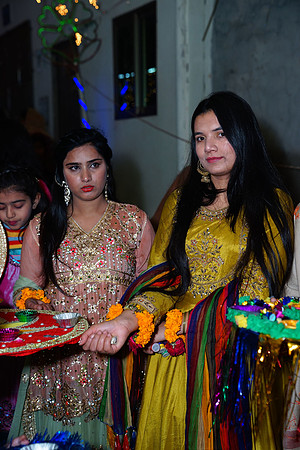 Mehndi 223