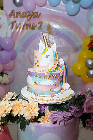 Anaya's 2nd Birthday 00044
