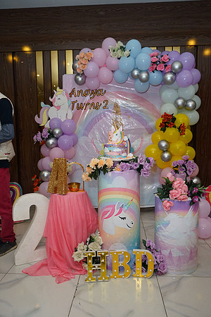 Anaya's 2nd Birthday 00045