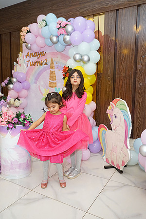 Anaya's 2nd Birthday 00048