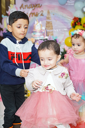 Anaya's 2nd Birthday 00101