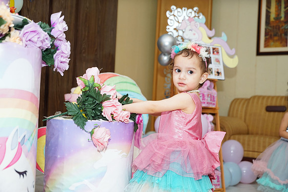 Anaya's 2nd Birthday 00136