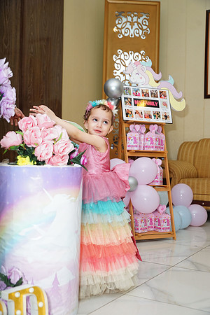 Anaya's 2nd Birthday 00138