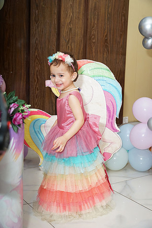 Anaya's 2nd Birthday 00140