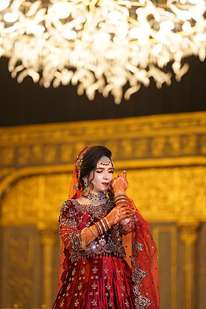 Sadaf & Faisal Barat 00206