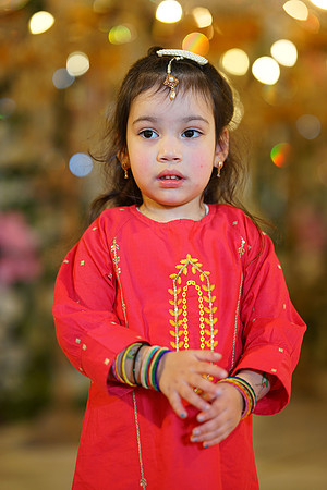 Sadaf & Faisal Walima 00169