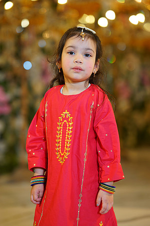 Sadaf & Faisal Walima 00171