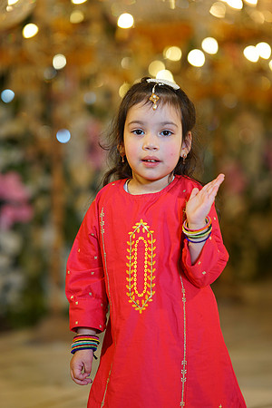 Sadaf & Faisal Walima 00172