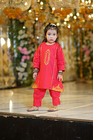 Sadaf & Faisal Walima 00173
