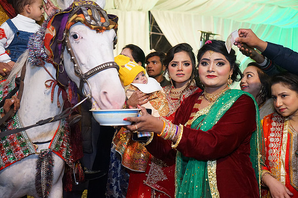 Junaid & Mehwish Mehndi 00147