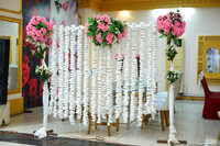 Fayaz & Anum Walima 00013