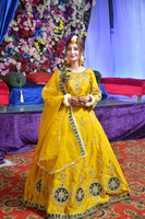 Hashim Mehndi 00011