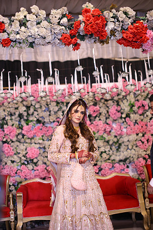 Ali Walima 00113