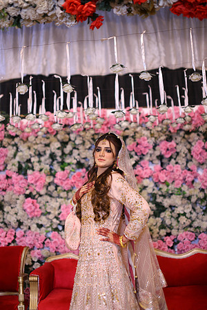 Ali Walima 00137