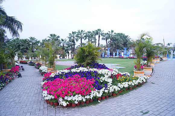 Rosa Blanca Iftaari 00023