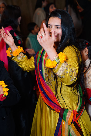 Mehndi 204
