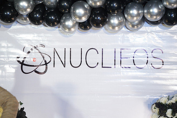 Nuclieos Get together 00266
