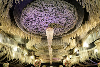Usman & Zarwa Walima 00004