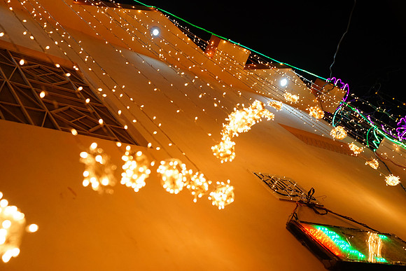 Mehndi 8