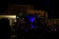 Hasan & Sundus Mehndi 00001