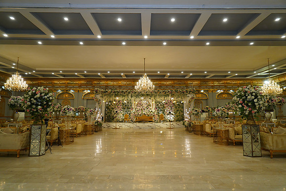 Ammara & Azeem Walima 00191