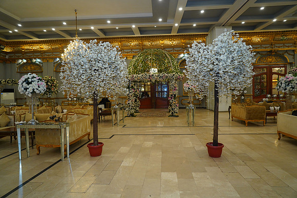 Ammara & Azeem Walima 00193